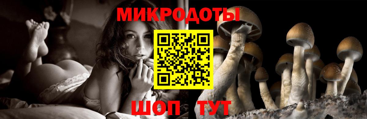 Меф   Канабис  Ставрополь  МДМА  ГАШИШ  Вход с VPN  Вейп ТГК  ГАШ  Альфа ПВП СК  